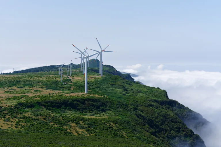 Environmental Sustainability