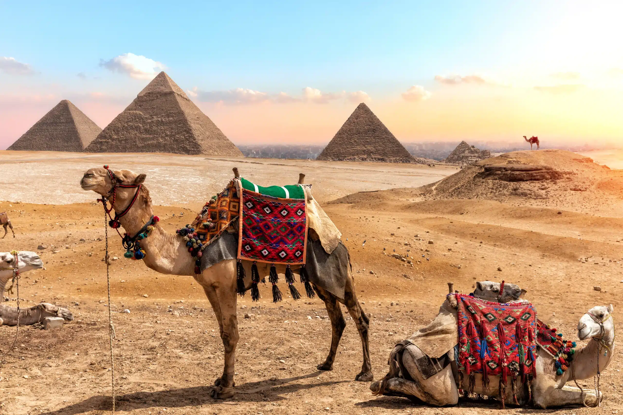 The establishment of the Egyptian Authority for Intellectual Property (“EAIP”): Genesis of a new era in Intellectual Property