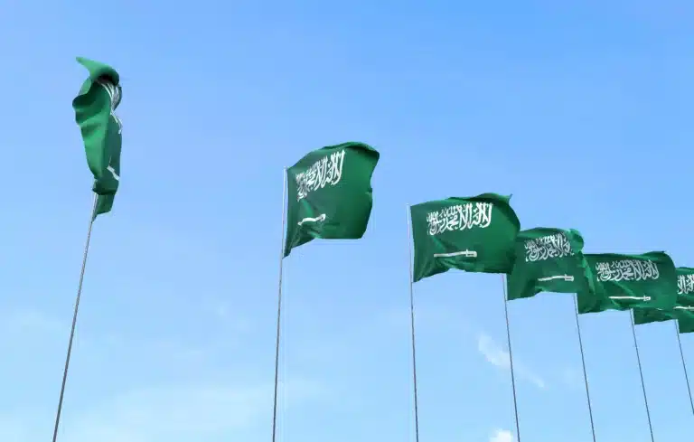 The Creation of IP Public Prosecution Council A Milestone in Saudi