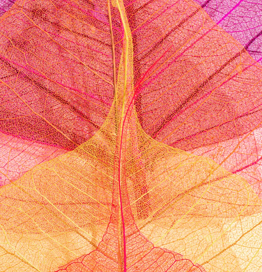 Why Life Science Clients Choose Us